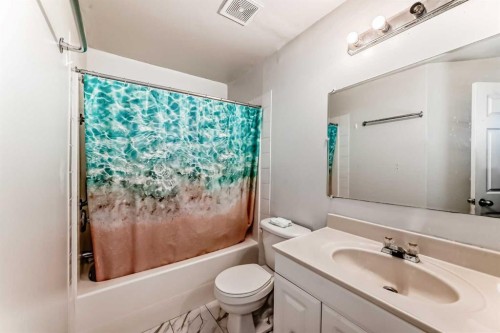 32 Taravista Crescent Ne, Calgary, AB - Indoor Photo Showing Bathroom