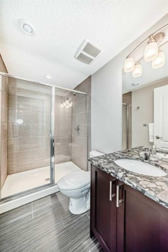 48 Auburn Bay Crescent Se, Calgary, AB - Indoor Photo Showing Bathroom