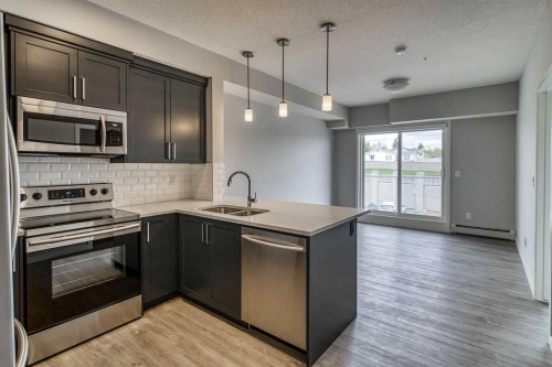 215-300 Harvest Hills Place NE Calgary, AB T3K 2P4