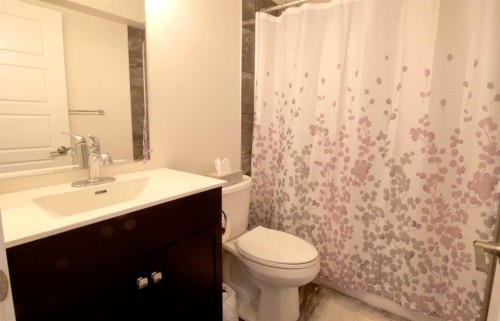 103 Sunrise Common, Cochrane, AB - Indoor Photo Showing Bathroom