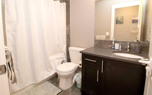 103 Sunrise Common, Cochrane, AB - Indoor Photo Showing Bathroom