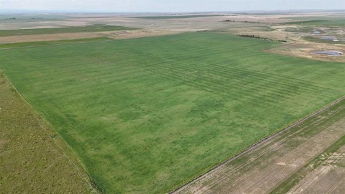 Range Road 243, Rural Vulcan County, AB 