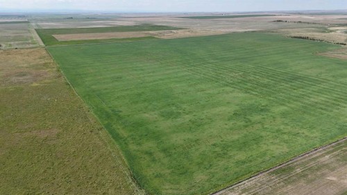 Range Road 243, Rural Vulcan County, AB 