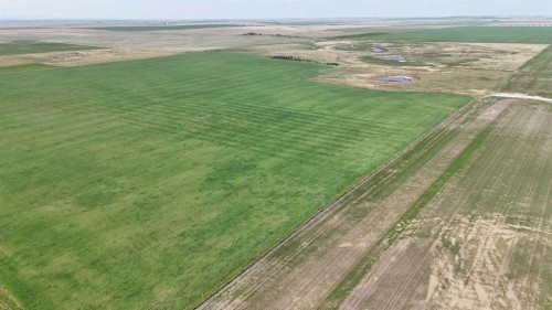 Range Road 243, Rural Vulcan County, AB 