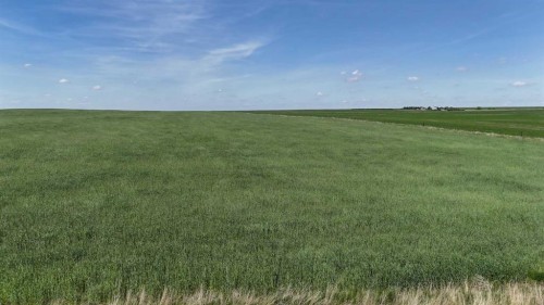 Range Road 243, Rural Vulcan County, AB 