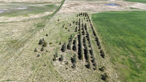 Range Road 243, Rural Vulcan County, AB 