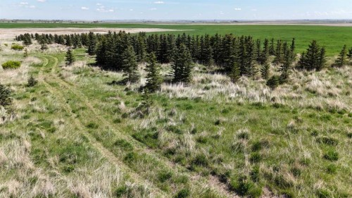 Range Road 243, Rural Vulcan County, AB 