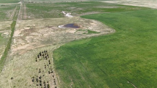 Range Road 243, Rural Vulcan County, AB 
