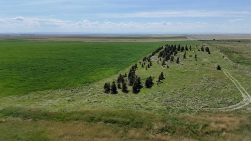 Range Road 243, Rural Vulcan County, AB 