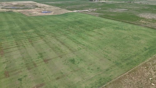 Range Road 243, Rural Vulcan County, AB 