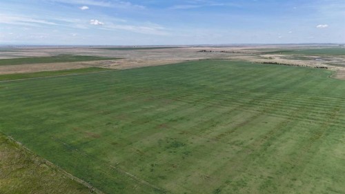 Range Road 243, Rural Vulcan County, AB 