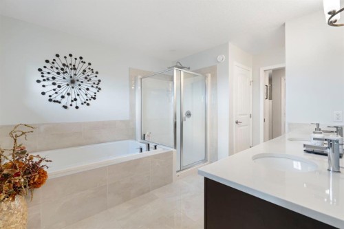 306 Corner Meadows Way Ne, Calgary, AB - Indoor Photo Showing Bathroom