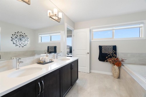 306 Corner Meadows Way Ne, Calgary, AB - Indoor Photo Showing Bathroom