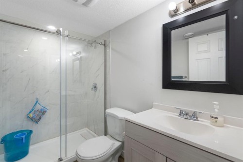 306 Corner Meadows Way Ne, Calgary, AB - Indoor Photo Showing Bathroom