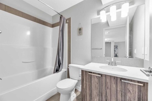 69 Howse Common Ne, Calgary, AB - Indoor Photo Showing Bathroom