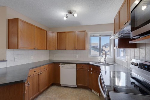 427 Saddlebrook Way Ne, Calgary, AB - Indoor Photo Showing Kitchen With Double Sink