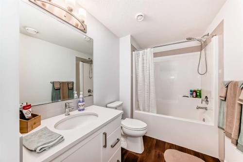 108 Magnolia Way Se, Calgary, AB - Indoor Photo Showing Bathroom