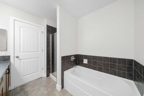 8-301 Village Mews Sw, Calgary, AB - Indoor Photo Showing Bathroom