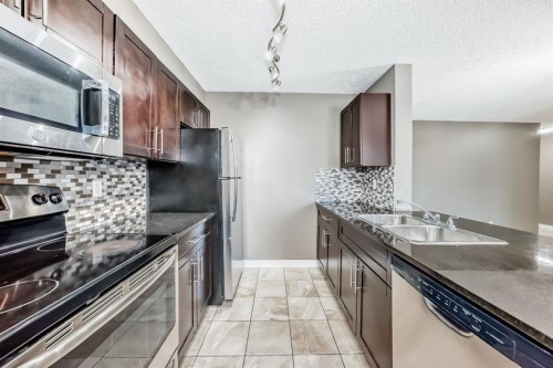 302-15 Saddlestone Way Ne, Calgary, AB - Indoor Photo Showing Kitchen With Double Sink