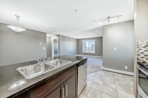 302-15 Saddlestone Way Ne, Calgary, AB - Indoor Photo Showing Kitchen With Double Sink