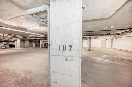 302-15 Saddlestone Way Ne, Calgary, AB - Indoor Photo Showing Garage