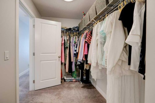 561 Canals Crossing Sw, Airdrie, AB - Indoor With Storage