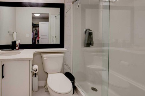 561 Canals Crossing Sw, Airdrie, AB - Indoor Photo Showing Bathroom