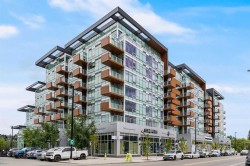 518-110 18A Street NW Calgary, AB T2N 2H2