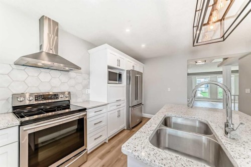 237 Tarington Close Ne, Calgary, AB - Indoor Photo Showing Kitchen With Stainless Steel Kitchen With Double Sink With Upgraded Kitchen