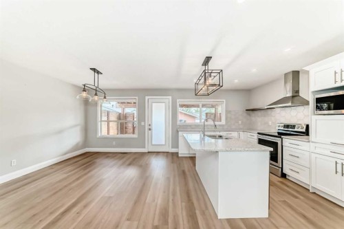 237 Tarington Close Ne, Calgary, AB - Indoor Photo Showing Kitchen With Upgraded Kitchen