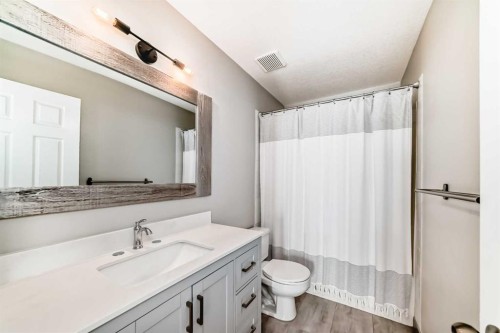 237 Tarington Close Ne, Calgary, AB - Indoor Photo Showing Bathroom