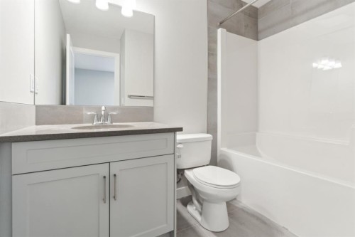 16 Alderwood Close Se, Calgary, AB - Indoor Photo Showing Bathroom