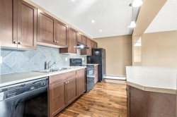 301-1828 12 Avenue SW Calgary, AB T3C 0R6