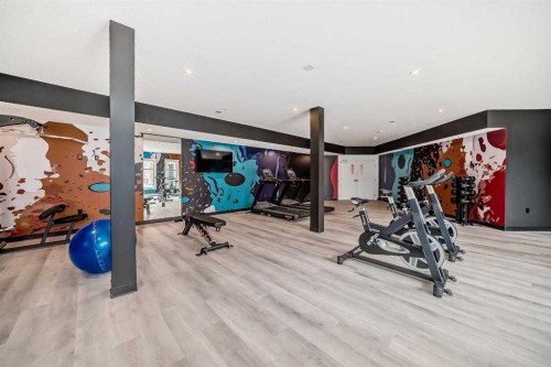 2301-681 Savanna Boulevard Ne, Calgary, AB - Indoor Photo Showing Gym Room