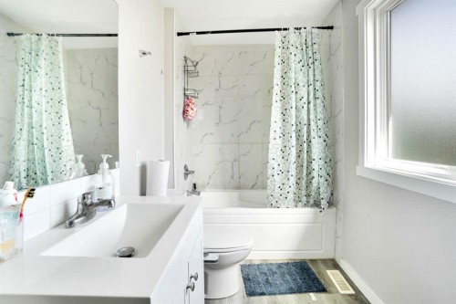 243 Castlebrook Road Ne, Calgary, AB - Indoor Photo Showing Bathroom