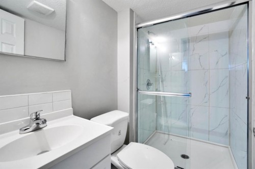 243 Castlebrook Road Ne, Calgary, AB - Indoor Photo Showing Bathroom