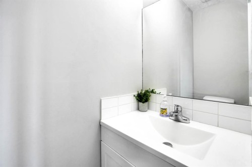 243 Castlebrook Road Ne, Calgary, AB - Indoor Photo Showing Bathroom