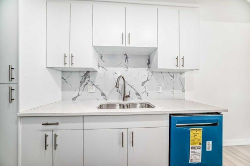 6216 4 Street Ne, Calgary, AB - Indoor Photo Showing Kitchen With Double Sink