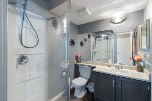 79 Templegreen Drive Ne, Calgary, AB - Indoor Photo Showing Bathroom