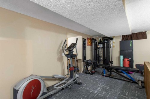 79 Templegreen Drive Ne, Calgary, AB - Indoor Photo Showing Gym Room
