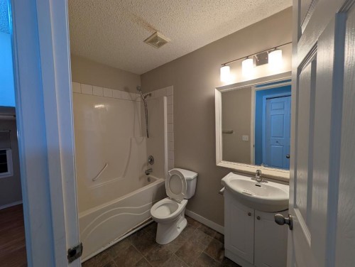 47 Saddleback Way Ne, Calgary, AB - Indoor Photo Showing Bathroom