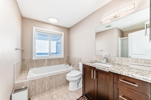 40 Saddlelake Gardens Ne, Calgary, AB - Indoor Photo Showing Bathroom