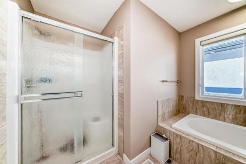 40 Saddlelake Gardens Ne, Calgary, AB - Indoor Photo Showing Bathroom