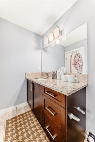 40 Saddlelake Gardens Ne, Calgary, AB - Indoor Photo Showing Bathroom