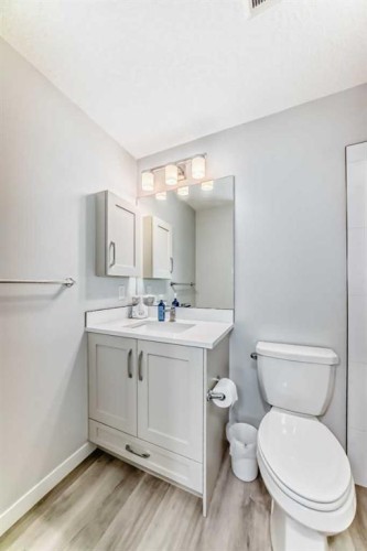 310-150 Shawnee Square, Calgary, AB - Indoor Photo Showing Bathroom