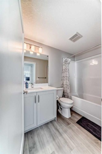 310-150 Shawnee Square, Calgary, AB - Indoor Photo Showing Bathroom