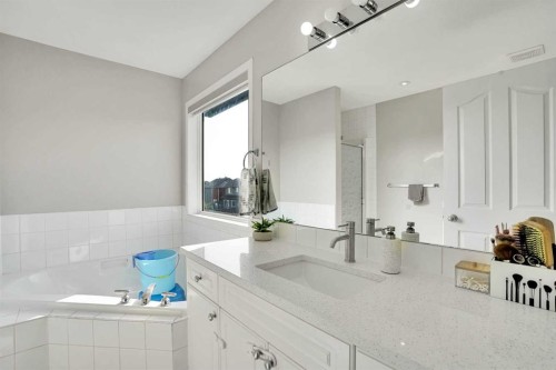 151 Saddlehorn Close Ne, Calgary, AB - Indoor Photo Showing Bathroom