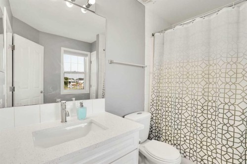 151 Saddlehorn Close Ne, Calgary, AB - Indoor Photo Showing Bathroom