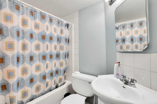 151 Saddlehorn Close Ne, Calgary, AB - Indoor Photo Showing Bathroom