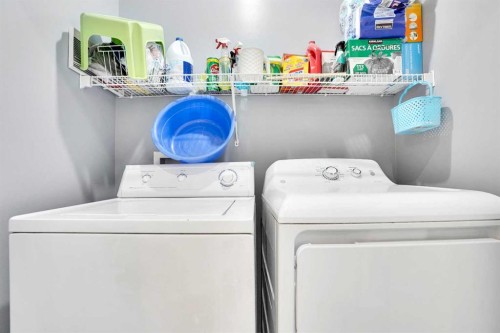 151 Saddlehorn Close Ne, Calgary, AB - Indoor Photo Showing Laundry Room